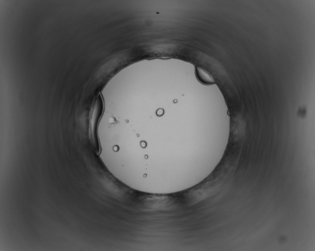 X0000101230428200807181607