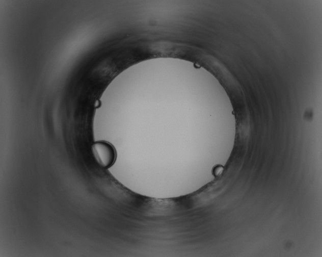 X0000101230429200807181607