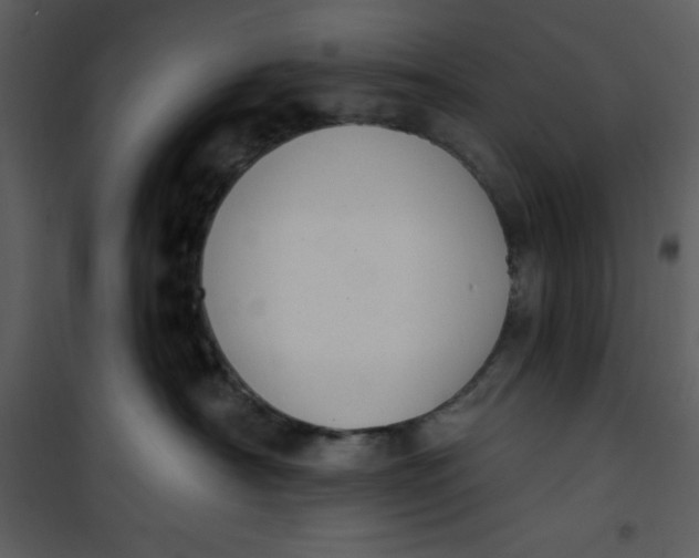 X0000101230430200807181607