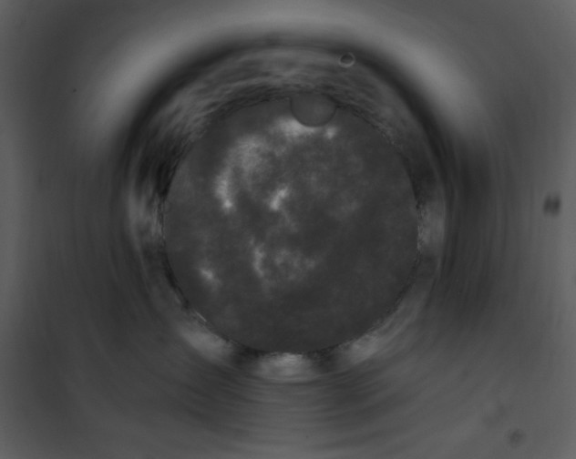 X0000101230431200807181607