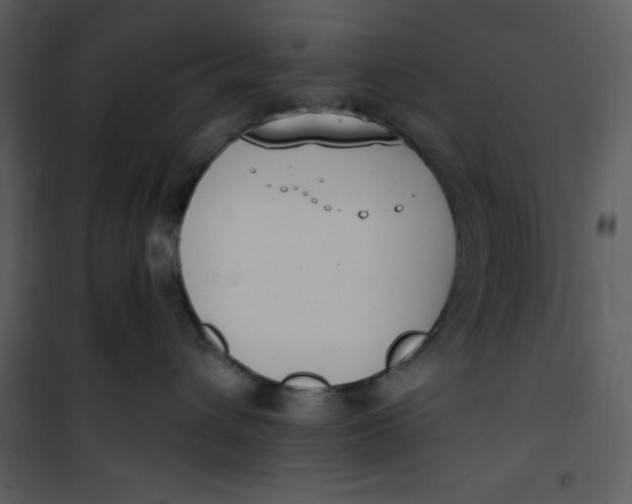 X0000101230432200807181607