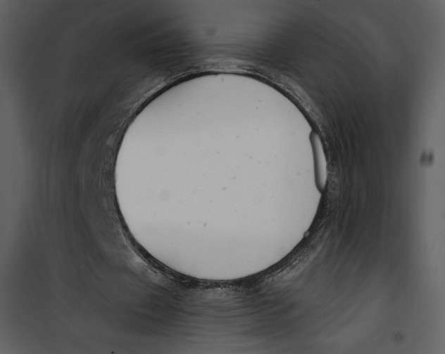 X0000101230433200807181606