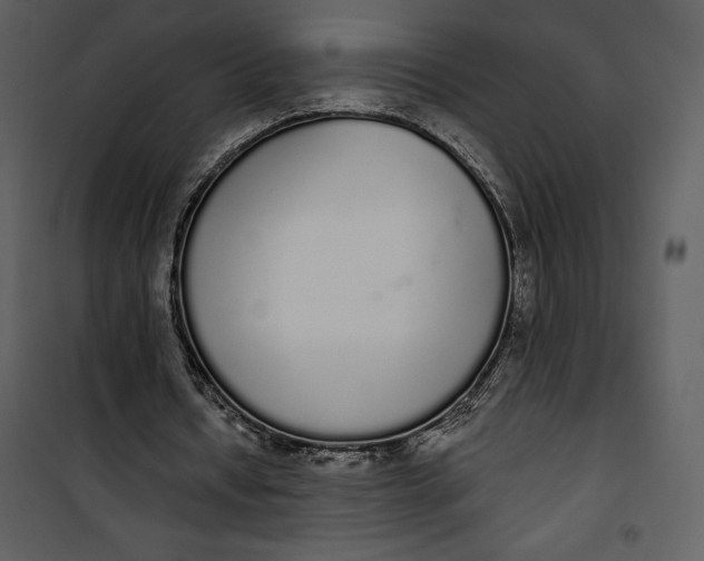 X0000101230434200807181606