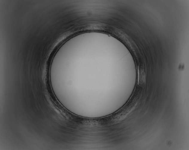 X0000101230435200807181606