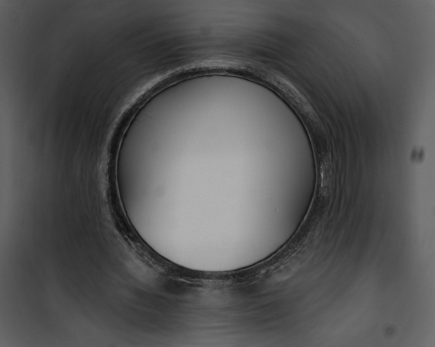 X0000101230436200807181606