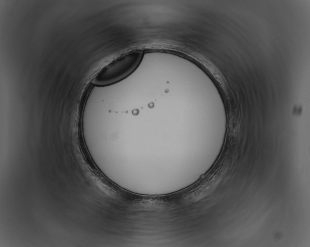 X0000101230437200807181606