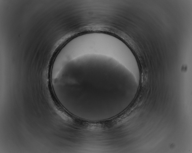 X0000101230438200807181607