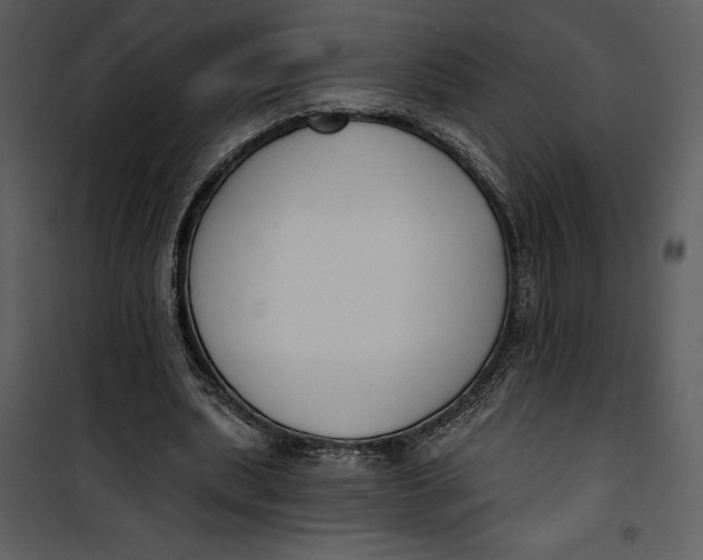 X0000101230439200807181607