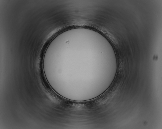 X0000101230440200807181607