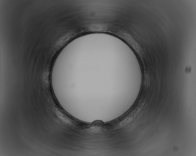 X0000101230441200807181607