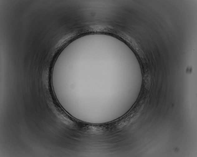 X0000101230442200807181607