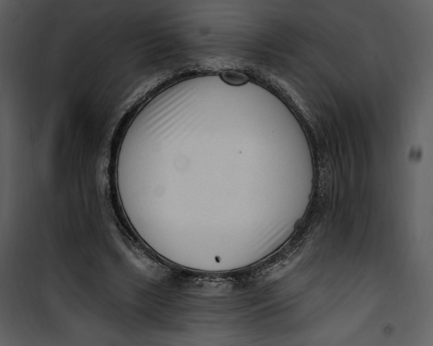 X0000101230443200807181607