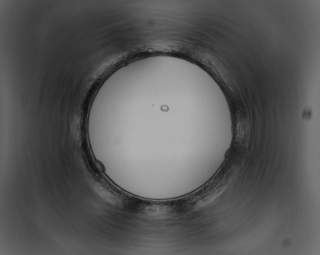 X0000101230444200807181607