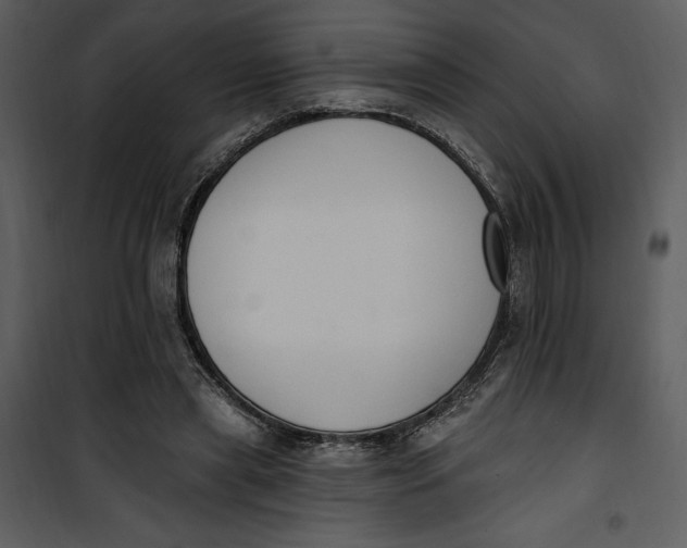 X0000101230445200807181607