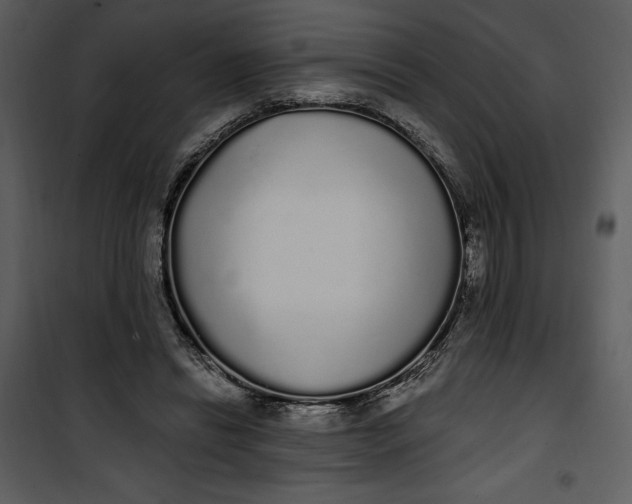 X0000101230446200807181607