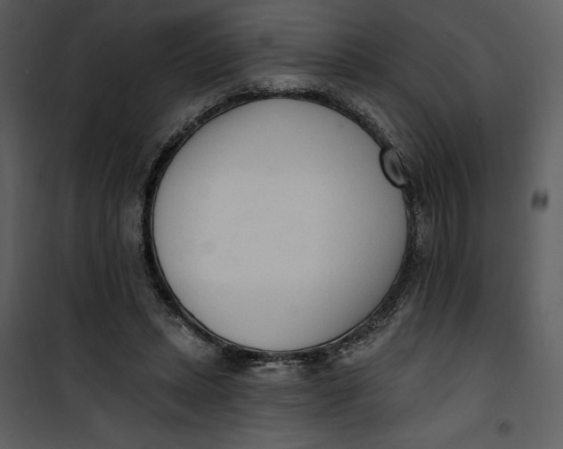 X0000101230447200807181607