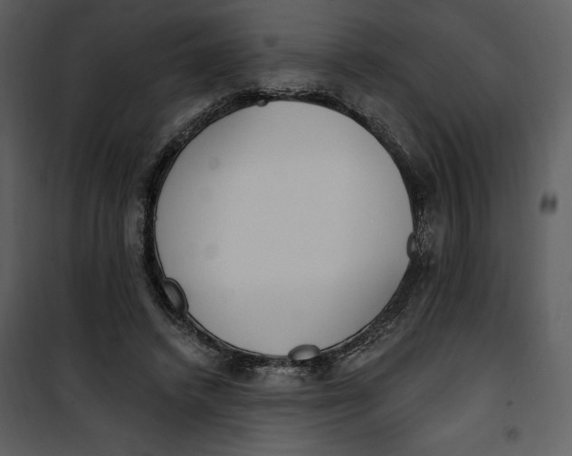 X0000101230448200807181607