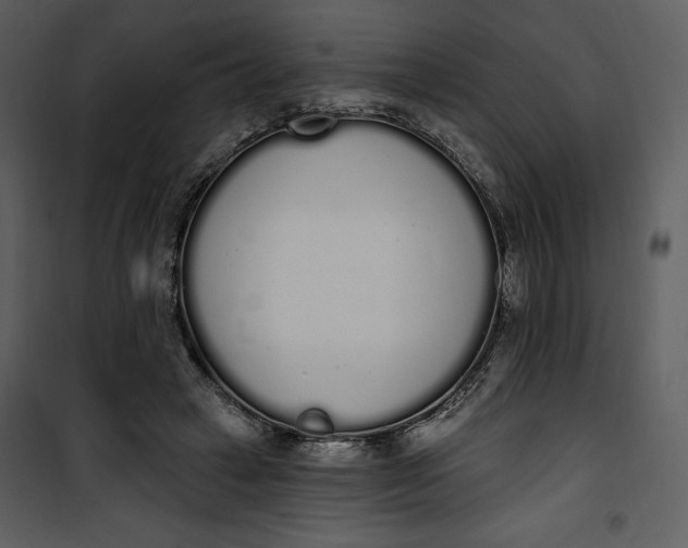 X0000101230449200807181607