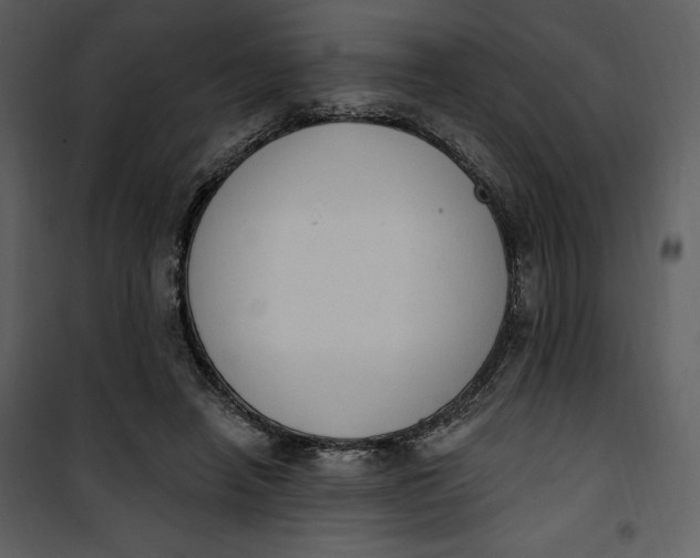 X0000101230450200807181607