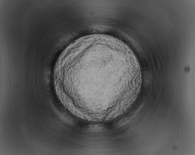 X0000101230451200807181607