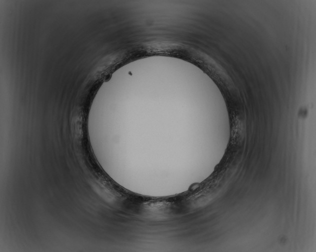 X0000101230452200807181607