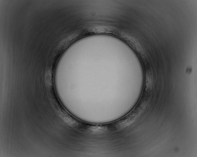 X0000101230453200807181607