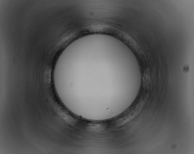 X0000101230454200807181607