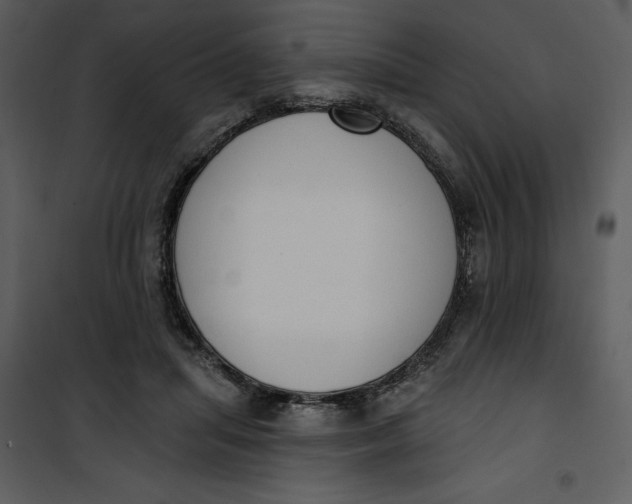 X0000101230455200807181607