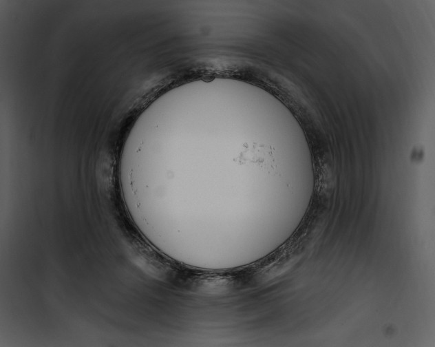 X0000101230456200807181607