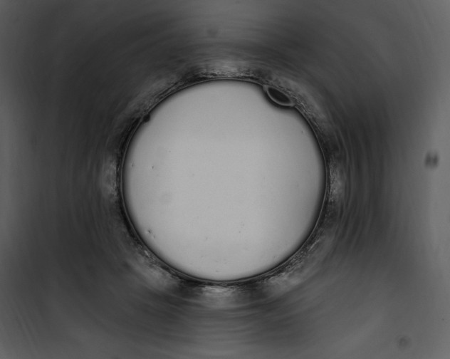 X0000101230457200807181607