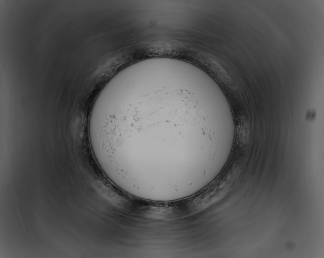 X0000101230458200807181607