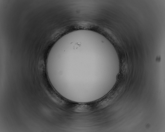 X0000101230459200807181607