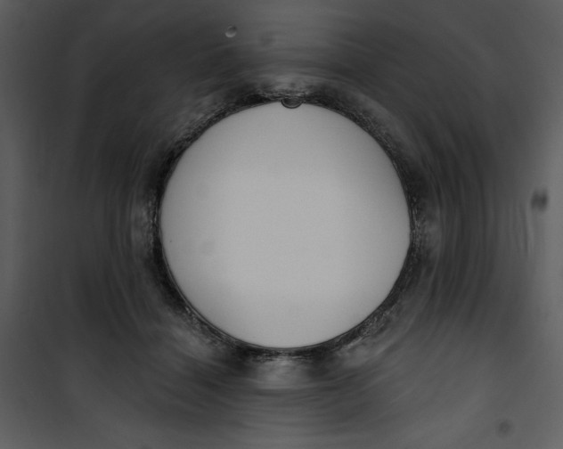 X0000101230460200807181607