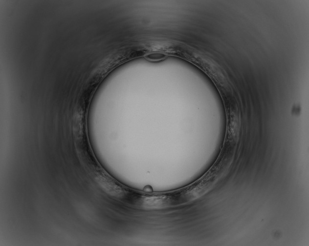 X0000101230461200807181607