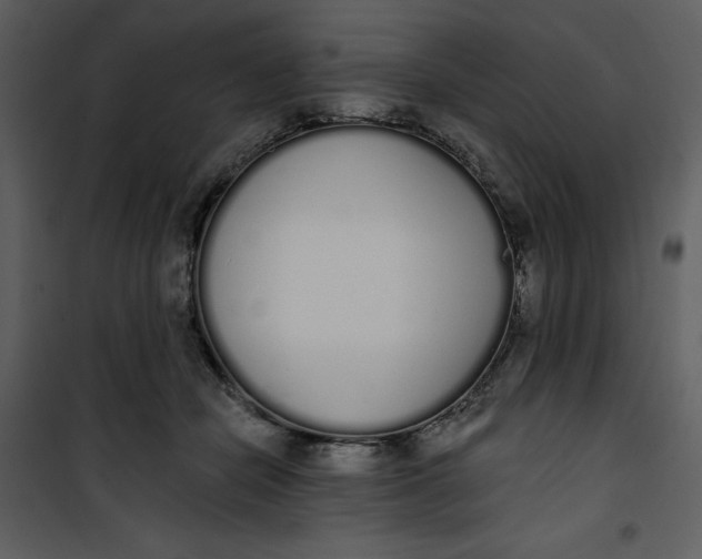 X0000101230462200807181607