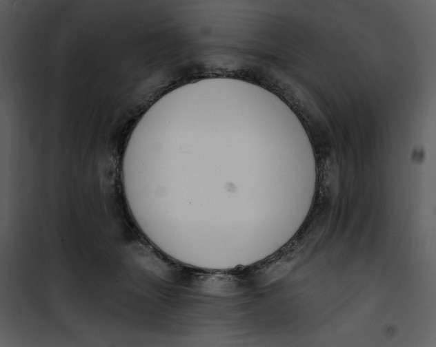 X0000101230463200807181607