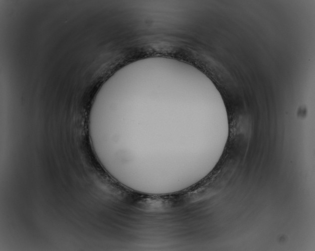 X0000101230464200807181607