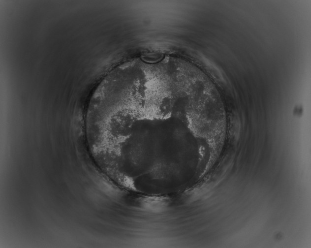 X0000101230465200807181607