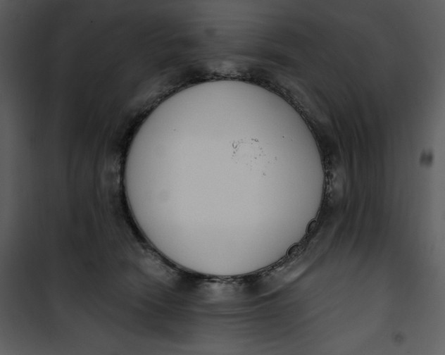 X0000101230466200807181607