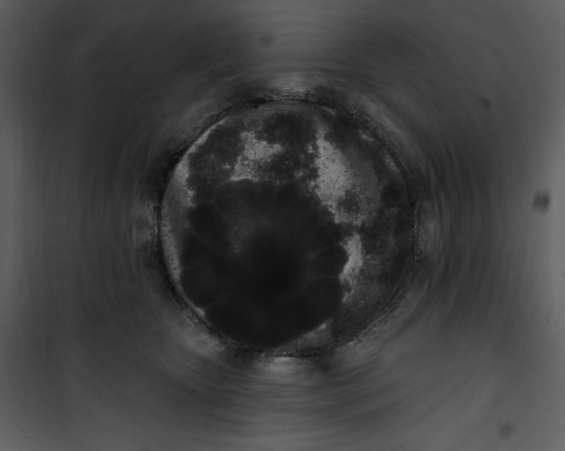 X0000101230467200807181607