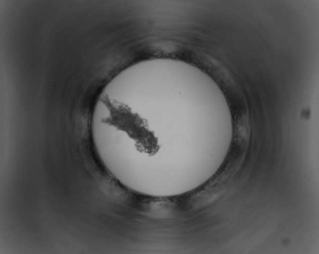 X0000101230468200807181607