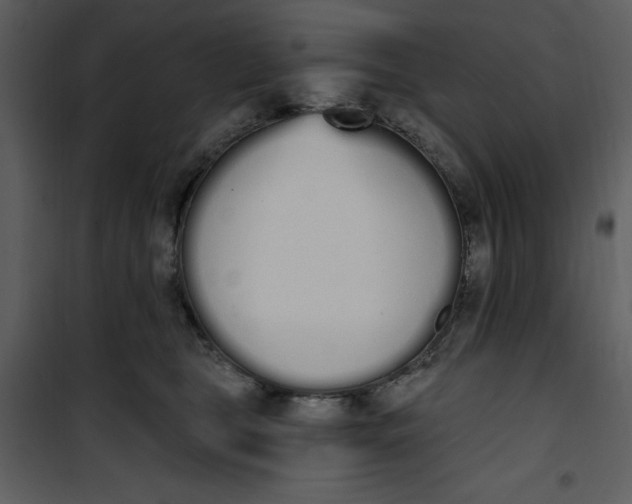 X0000101230469200807181607