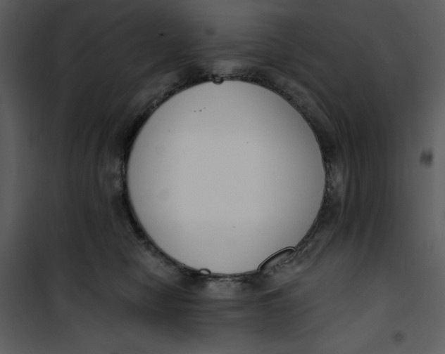 X0000101230470200807181607