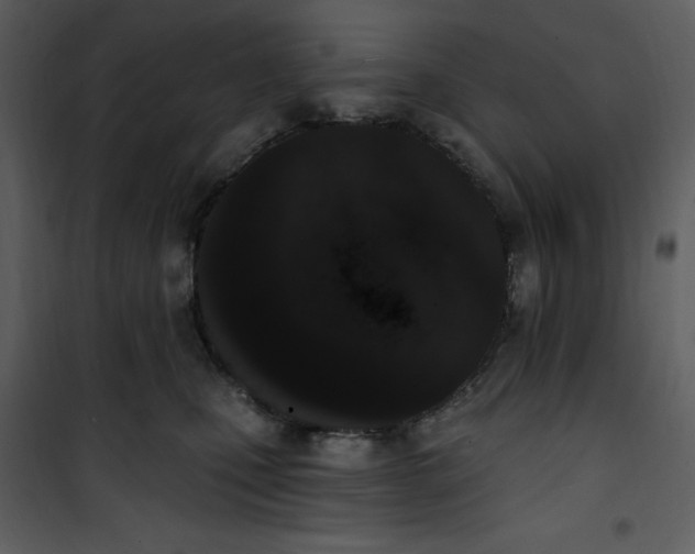 X0000101230471200807181607