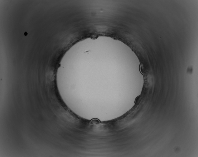 X0000101230472200807181607