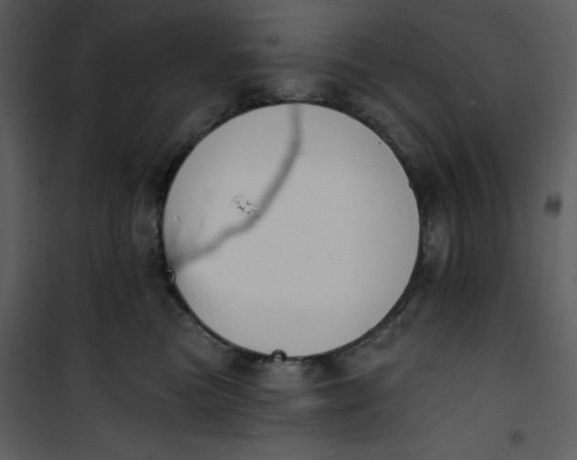 X0000101230473200807181607