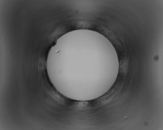 X0000101230474200807181607