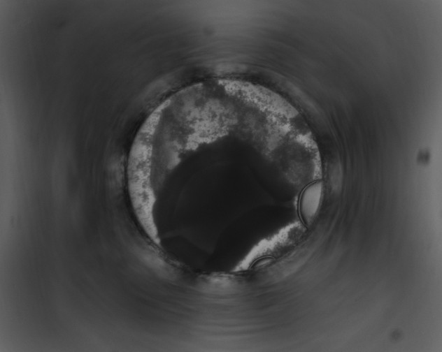 X0000101230475200807181607