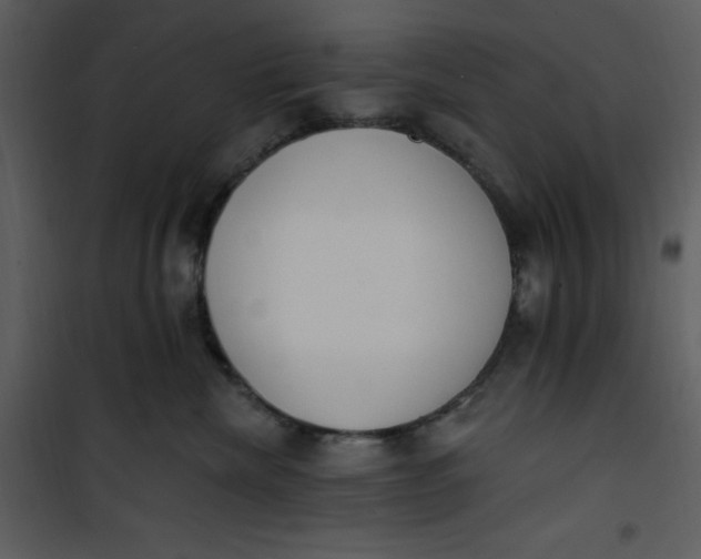 X0000101230476200807181607