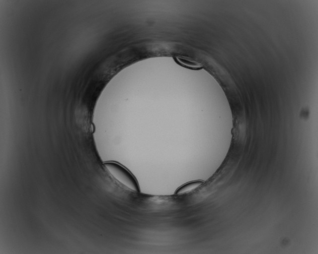 X0000101230477200807181607